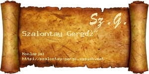 Szalontay Gergő névjegykártya